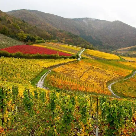 Sartoris Comfortable 別荘 *