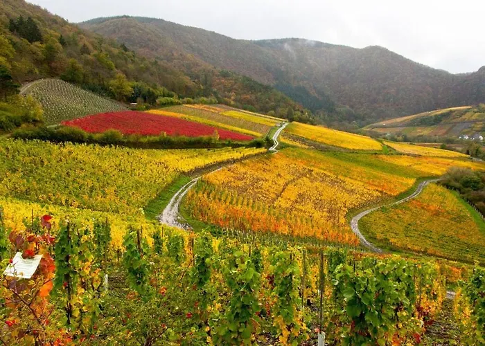 Sartoris Comfortable Casa de Férias *