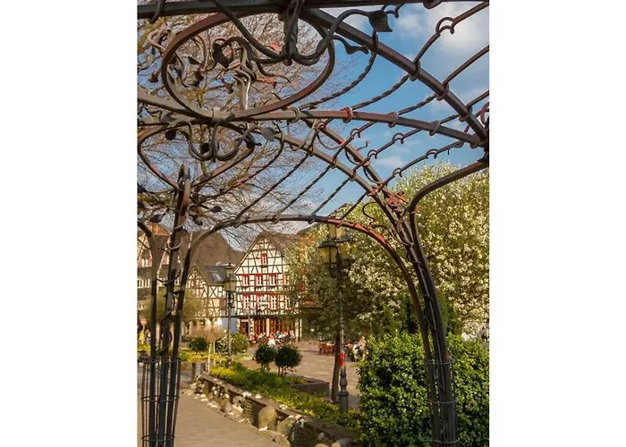 Sartoris Comfortable